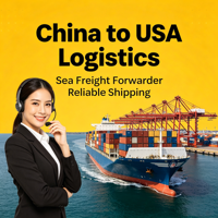 Soporte al Cliente Dedicado, Transporte Marítimo DDP de China a Estados Unidos para Socios a Largo Plazo