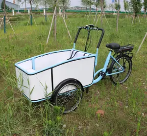 دراجة نقل بضائع هولندية دراجة كهربائية بثلاث عجلات دراجة نقل بضائع للبالغين بثلاث عجلات