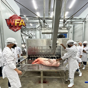 Maquinaria para Mataderos de Cerdos, Línea de Sacrificio de Cerdos, Equipo para Mataderos de Cerdos USDA, Máquina de Carnicería Porcina, Planta de Procesamiento de Carne de Cerdo, Producción de Carne - Product Image 1