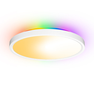 Binnen Oppervlak Gemonteerd Led Smart Plafondlamp 24W Rgb Compatibel Met Tuya App <span class=keywords><strong>Flush</strong></span> <span class=keywords><strong>Mount</strong></span> Plafond Armatuur