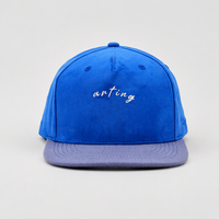 Casquette de baseball personnalisée en daim à visière plate, 6 panneaux, snapback brodé, bicolore bleu, réglable, pour le sport, vente en gros, OEM, faible MOQ