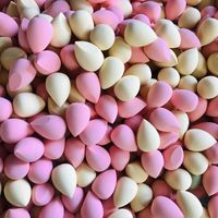 Lot de Gros Éponges de Maquillage Super Douces en Forme de Goutte d'Eau Sans Latex, Outil de Beauté pour le Teint et les Fond de Teint