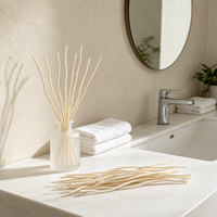 Bâtonnets diffuseurs d'aromathérapie sans fumée en rotin naturel WAFA, branche de saule, vente en gros, durables
