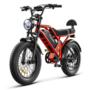 Vélo électrique tout-terrain 48V à pneus larges, deux places, adapté à la neige, livraison directe depuis entrepôt américain, export transfrontalier - Product Image 1