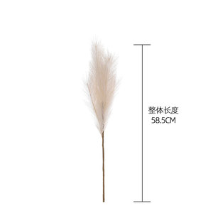 ดอกคาลลาฟลอรัล แพมปัส รีด ดอกไม้ประดิษฐ์ สีเบจ น้ำตาล เหลืองอ่อน MW85004 ของตกแต่งบ้าน ของตกแต่งงานแต่งงาน - Product Image 4