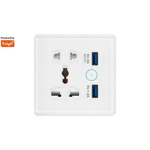 100-240V Tuya Universal CN EU UK Wireless Electrical Outlet 13A Wifi + Bluetooth Smart USB Socket For Smart Home Homekit