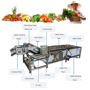 Máquina Lavadora de Burbujas Industrial Totalmente Automática para Pulpa de Coco, Maíz, Frutos Secos, Vegetales y Frutas con Soplador de Aire y Elevador - Product Image 2