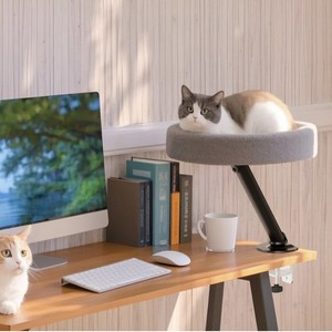 Mini Floating <span class=keywords><strong>Cat</strong></span> Nest Optische Verfolgung Desktop Katzen bett LED Hintergrund beleuchtung Rechts ausrichtung Büro <span class=keywords><strong>Cat</strong></span> Climbing Rack Desk Stock - Product Image 3