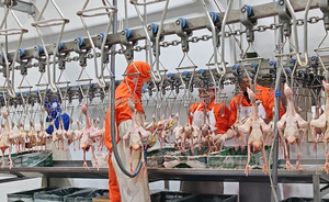 Machine industrielle de retrait des poumons de volaille en acier inoxydable SUS304, aspirateur à vide poussé 3000BPH pour usine d'abattage de poulets - Product Image 4