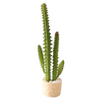 Miniature de nourriture miniature à l'échelle 1:6, cactus en pot, mini modèle pour maison de poupée BJD, miniature DIY