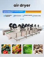 Machine de séchage à air soufflé entièrement automatique à commande par onduleur pour la ligne de production de déshydratation des champignons, des légumes-feuilles et des emballages souples