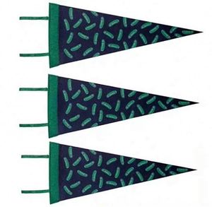 Professional Customizable Digital Printing University Felt Triangle <b>Banners</b> Portable Waterproof Eco-Friendly - Product Image 3