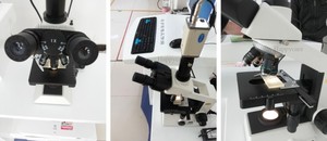 HC-B028 bilgisayar destekli semen makinesi/veteriner <span class=keywords><strong>sperm</strong></span> analizörü/arabası <span class=keywords><strong>Sperm</strong></span> analiz sistemi - Product Image 5