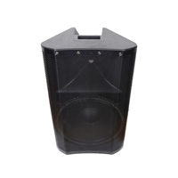 Accuracy Pro Audio CAN12 12 pouces Party Home Haut-parleur en plastique Son Haut-parleur passif