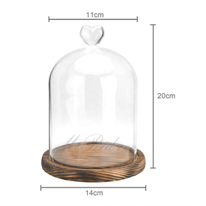Di alta qualità dimensioni personalizzate squisito vetro Cloche campana a cupola con Base in legno eco-friendly - Product Image 6