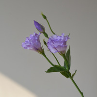 Bunga Lisianthus Ungu Putih Buatan Simulasi Tinggi 3 Kepala Bunga Eustoma Sutra Buatan untuk Dekorasi Rumah Pernikahan Paskah