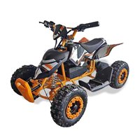 Best-seller européen, nouveau mini quad électrique 36V 500W pour enfants, buggy de plage/ATV modèle SHEATV-001