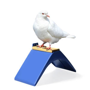 Supporto per piccioni in plastica V posatoi per piccioni da corsa - Product Image 1