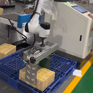 Robot Paletizador Colaborativo Industrial Automático con Ventosa y Brazo para Paletas, Bolsas y Cartones con Nivelación - Product Image 4