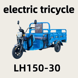 인기 판매 전기 화물 삼륜차 오픈 바디 고하중 용량 공장 직판 고성능 - Product Image 1