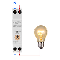 Disjoncteur intelligent monophasé CKYECL 63A 1P+N Mini-interrupteur WiFi MCB avec mesure de puissance kWh, relais temporisé, capacité de coupure, rail DIN, prépayé