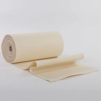 Kantong Filter Nomex Antistatik ISO untuk Boiler Biomassa Industri, Pengolahan Logam, Industri Kimia, Industri Makanan, dan Insinerasi Limbah