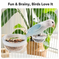 Mangeoire transparente moderne en forme d'œuf pour oiseaux, avec clip, pour perruches, calopsittes, bol à graines Starry Bowl, à fixer sur cage, qualité alimentaire