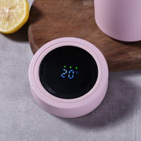 Théière 2026 Emerit en gros, la plus populaire, personnalisée, 480 ml, avec revêtement en acier inoxydable 316, affichage LED de la température et poignée, idéale pour le bureau