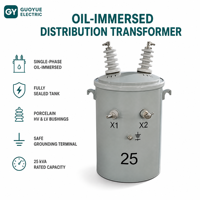 Transformateur de distribution toroïdal immergé dans l'huile, type poteau, monophasé, 25 kVA, 480 V, 11 kV, haute tension, monté en hauteur