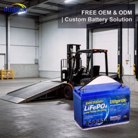 Peralatan Gudang Baterai Lithium Iron Phosphate LFP 24V 300Ah untuk Penanganan Material Desain Tahan Lama MSDS UN38.3 CE RoHS OEM