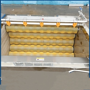 Hot Sale Fruit Cleaning Roller <b>Brush</b> Washer Machine with 304 Stainless Steel 220/380V Easy to Operate - Product Image 3