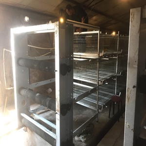 H tipi ünlü marka et tavuk Broiler tavuk otomatik içme besleme gübresi konveyör bant sistemi ile kafesleri yükselterek - Product Image 6