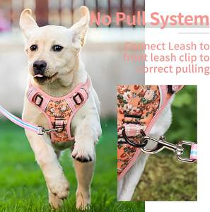 Harnais pour <span class=keywords><strong>chien</strong></span> en nylon Oxford personnalisé de qualité supérieure avec fermeture à boucle, design d'écharpe tendance pour chiens de grande et <span class=keywords><strong>petite</strong></span> <span class=keywords><strong>taille</strong></span> - Product Image 5