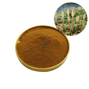 ผงสกัดสมุนไพรหางม้าสกัดน้ำสารสกัดจากหางม้า - Product Image 2