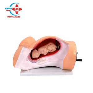 HC-S302B <b>Medical</b> Training Model Gynecology Delivery Teaching Model Electric Delivery Woman Model - Product Image 1