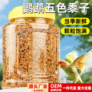 Crown Parrot Bird <b>Food</b> Hulled Millet <b>Canary</b> Grain Mixed Nutritional Feed For Budgerigar Pet Birds - Product Image 5