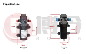 Surgeflo <span class=keywords><strong>ปั๊ม</strong></span><span class=keywords><strong>น้ำ</strong></span>เสียสำหรับโรงพยาบาล MP-4500 24โวลต์ปั๊มน้ำเสียแบบ self-priming - Product Image 5