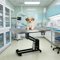 Table d'opération pour animaux de compagnie (chiens et chats) – Tables d'opération pour hôpitaux et cliniques vétérinaires – Tables chirurgicales vétérinaires à levage hydraulique
