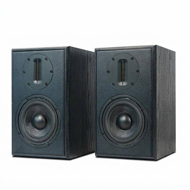 Samtronic 5.25 Inch Desktop Two-Way Speaker High Power HiFi Audio Passive Bookshelf Surround Home Theater Speaker 100W
