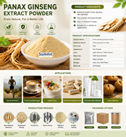 Ingrediente de Suplemento Natural, Extracto de Panax Ginseng 10% 80% Ginsenosidos en Polvo, Polvo de Ginseng Soluble en Agua, Grado Alimenticio