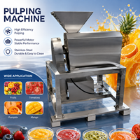 500 kg/uur fruit- en groentesapmachine, appelpers/machine voor appelvulling, zaadverwijderaar/mango-pulpmachine