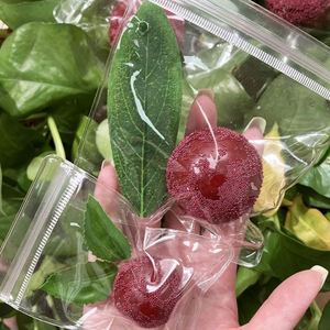 Jouet de décompression musical créatif en forme de fruit Yangmei, jouet sensoriel à pincer en forme de Yangmei - Product Image 2