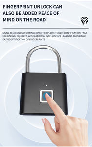 Candado Inteligente Electrónico USB Tipo C con Huella Dactilar para Equipaje y Gabinetes, Acceso por Huella Dactilar, Precio de Fábrica - Product Image 4