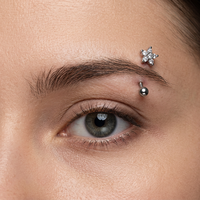 Nouveauté 2026 : Piercing Fleur pour Sourcil en Acier Inoxydable, Barbell Courbé pour Rook, Bijou Corporel Tendance pour Femmes et Hommes
