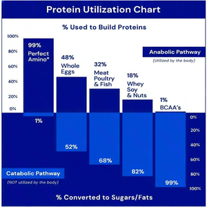 Integratore di aminoacidi essenziali Private Label con <span class=keywords><strong>BCAA</strong></span> per allenamento e muscoli Pre/Post - Product Image 6