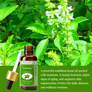 Huile Essentielle de Clou de Girofle et de Basilic 100% Pure et Naturelle en Gros pour Soins de la Peau, Massage Corporel et Fabrication de Bougies - Product Image 3