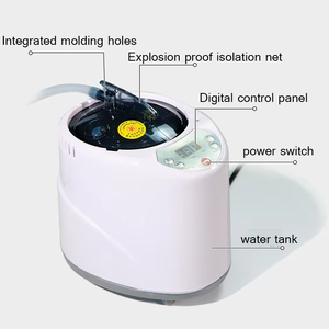 Tente de sauna à domicile pentagonale à lumière rouge pour la rééducation sportive avec bain de glace, détoxification corporelle durable, sauna humide 3L - Product Image 3