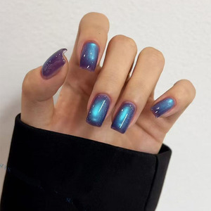 Kit de vernis gel magnétique œil de chat saphir 10 couleurs, à retirer par trempage, UV LED, exclusif pour salon de manucure, avec logo personnalisé, pour nail art - Product Image 5