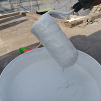 Revêtement imperméable polyacrylique haute performance pour toitures en béton, murs extérieurs, sous-sols, carreaux - Écologique et haute résistance