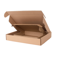 Cajas de Envío Corrugadas de 3 Capas con Logotipo Personalizado al por Mayor, Carpetas de Correo con Recubrimiento UV, Laminación Mate, Materiales Reciclados, ISO9001